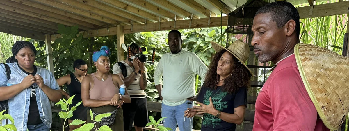 Black ecologies field school